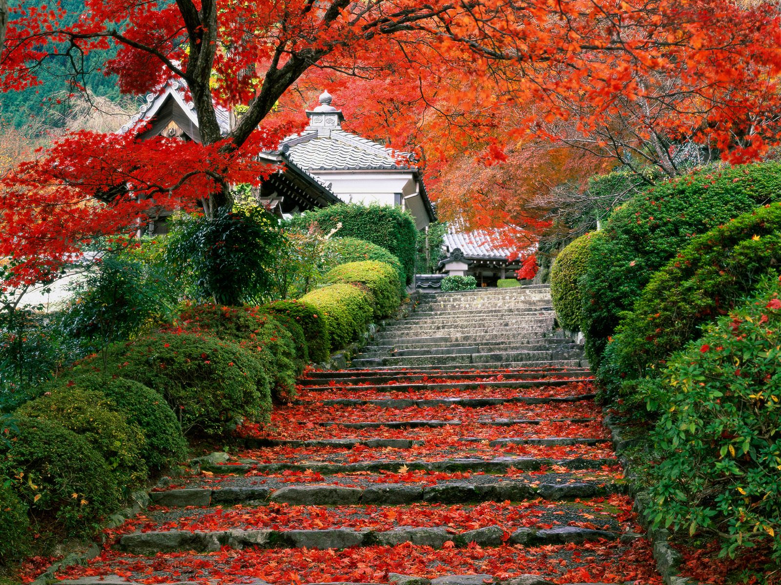 Garden-Staircase-Japan