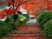 Garden-Staircase-Japan